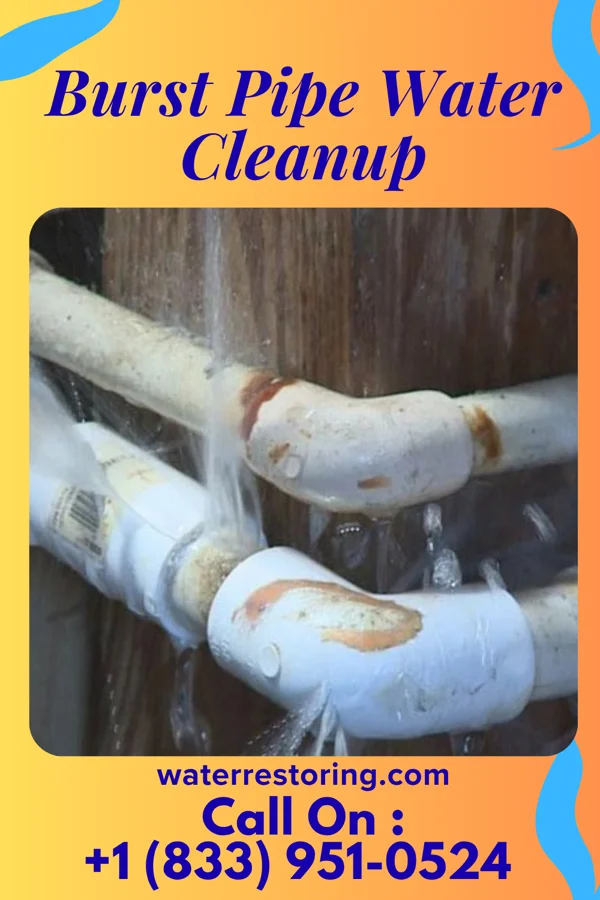 Burst Pipe Water Cleanup in Dent, OH