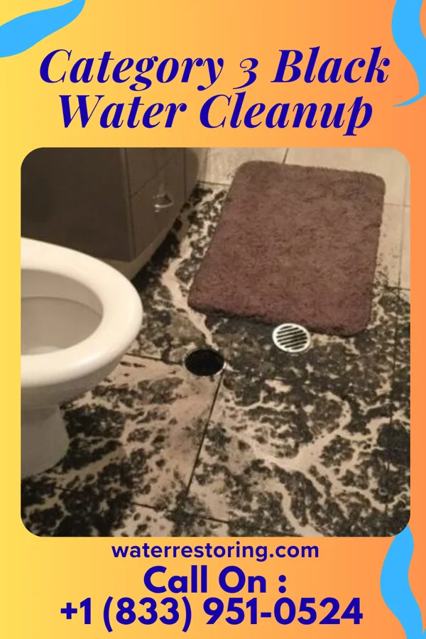 Category 3 Black Water Cleanup in Dent, OH
