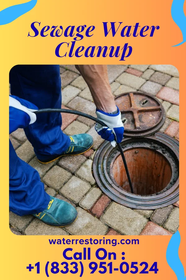 Sewage Water Cleanup in Dent, OH